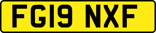 FG19NXF