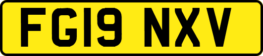 FG19NXV