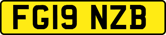 FG19NZB