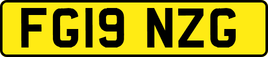 FG19NZG