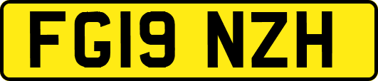 FG19NZH