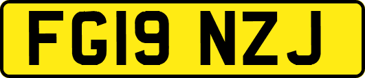 FG19NZJ