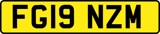 FG19NZM