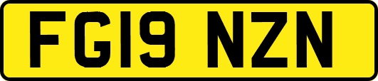 FG19NZN