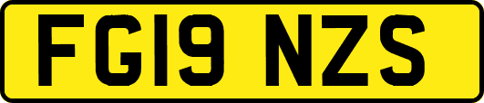 FG19NZS