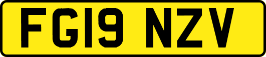 FG19NZV