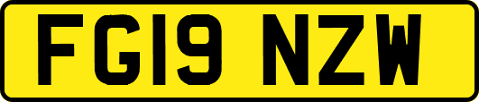 FG19NZW