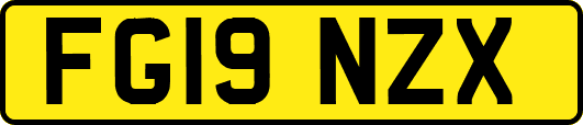 FG19NZX