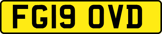 FG19OVD