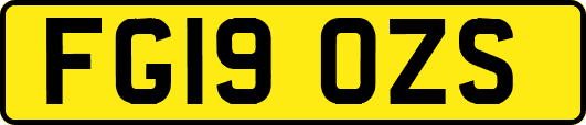 FG19OZS