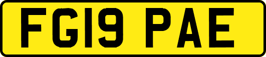 FG19PAE