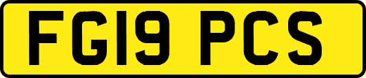 FG19PCS