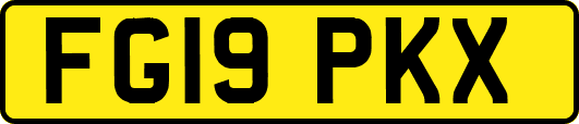 FG19PKX