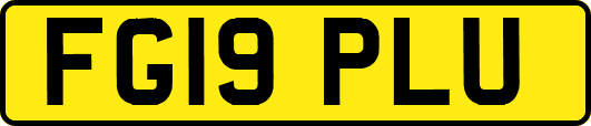 FG19PLU