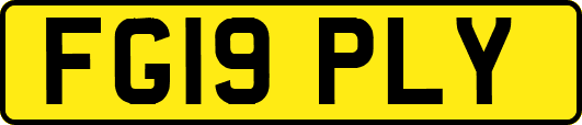 FG19PLY