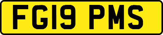 FG19PMS