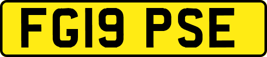 FG19PSE