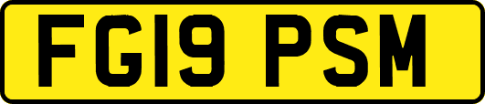 FG19PSM