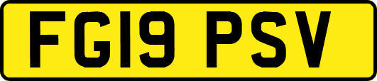 FG19PSV