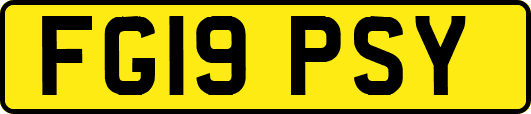 FG19PSY