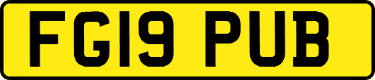 FG19PUB