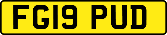 FG19PUD
