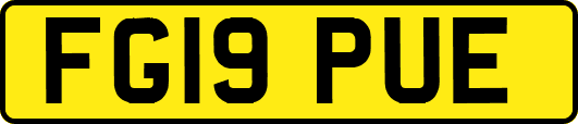 FG19PUE