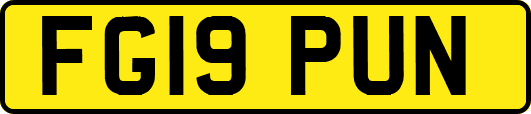 FG19PUN