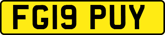 FG19PUY
