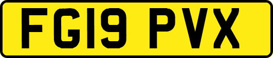FG19PVX