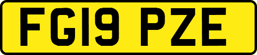 FG19PZE