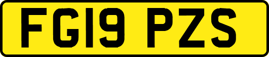 FG19PZS