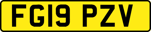 FG19PZV
