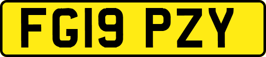 FG19PZY