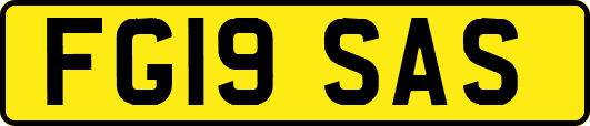 FG19SAS