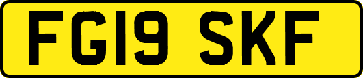 FG19SKF