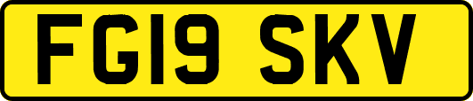 FG19SKV