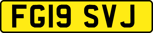 FG19SVJ