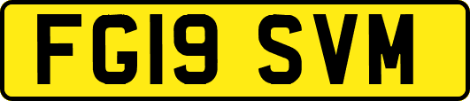 FG19SVM