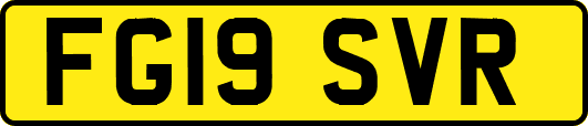 FG19SVR