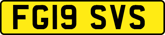 FG19SVS