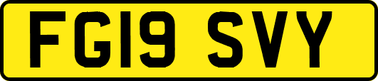 FG19SVY