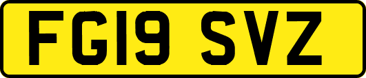 FG19SVZ