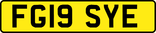 FG19SYE