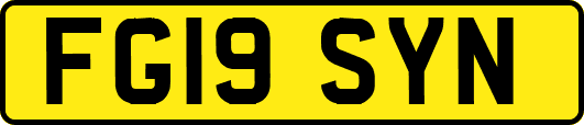 FG19SYN
