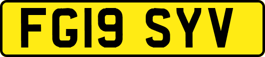 FG19SYV