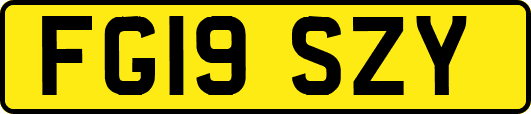 FG19SZY