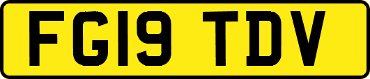 FG19TDV