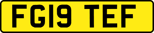 FG19TEF