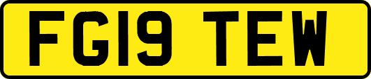 FG19TEW